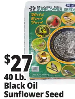 Ocean State Job Lot 40 Lb. Black Oil Sunflower Seed offer