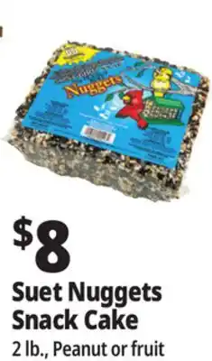 Ocean State Job Lot Suet Nuggets Snack Cake offer