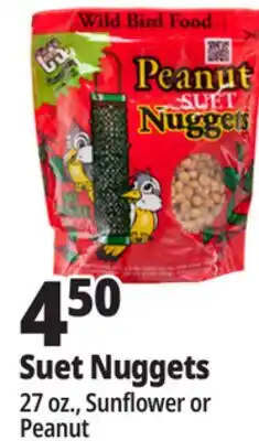 Ocean State Job Lot Suet Nuggets offer