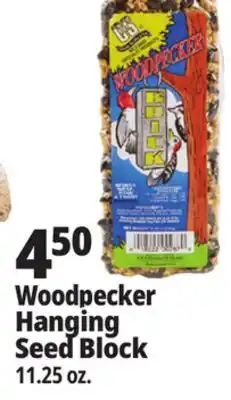 Ocean State Job Lot Woodpecker Hanging Seed Block offer