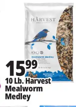 Ocean State Job Lot Harvest Seed & Supply Mealworm Medley Wild Bird Food 10 lb offer
