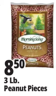 Ocean State Job Lot Morning Song Wildlife Food Peanuts 3 lbs offer