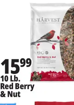 Ocean State Job Lot Harvest Seed & Supply Red Berry & Nut Wild Bird Food 10 lb offer