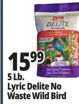 Ocean State Job Lot Lyric Delite No Waste Mix Bird Seed 5 lbs offer