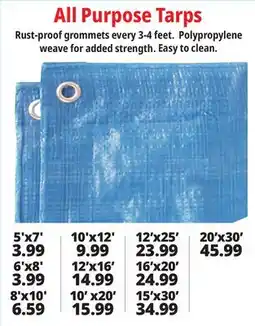 Ocean State Job Lot All Purpose Tarps offer