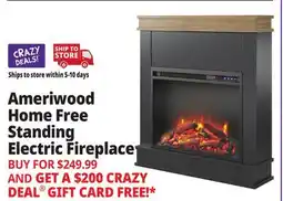 Ocean State Job Lot Ameriwood Home Ellsworth Electric Fireplace with Mantel White offer