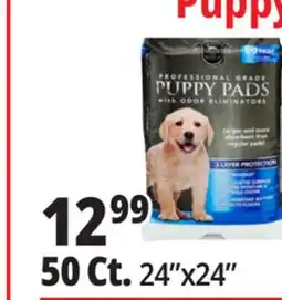 Ocean State Job Lot 24x24 Puppy Pads with Odor Eliminators 50 Count offer