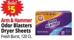 Ocean State Job Lot Arm & Hammer Fresh Burst Scent Odor Blasters Dryer Sheets 120 Count offer
