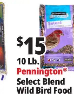 Ocean State Job Lot 10 Lb. Pennington Select Blend Wild Bird Food offer