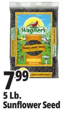 Ocean State Job Lot 5 Lb. Sunflower Seed offer