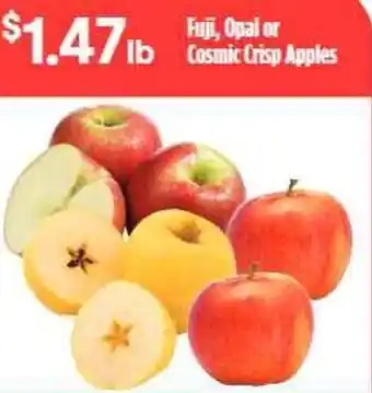 Fuji Apples