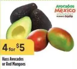 Nob Hill Hass Avocados or Red Mangoes offer