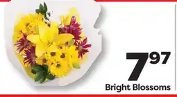 Weis Markets Bright Blossoms offer