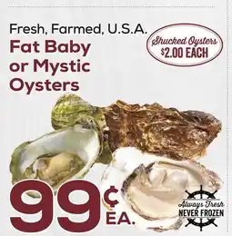 DeCicco & Sons Fat Baby or Mystic Oysters offer