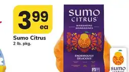ACME Sumo Citrus offer