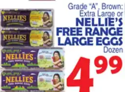 Bravo Supermarkets NELLIE'S FREE RANGE LARGE EGGS offer