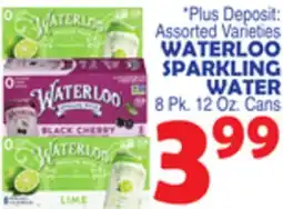 Bravo Supermarkets WATERLOO SPARKLING WATER offer
