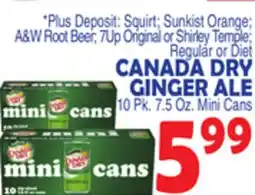 Bravo Supermarkets CANADA DRY GINGER ALE 10 pk.7.5 oz.Mini cans offer