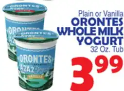 Bravo Supermarkets ORONTES WHOLE MILK YOGURT offer