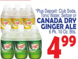 Bravo Supermarkets CANADA DRY GINGER ALE offer