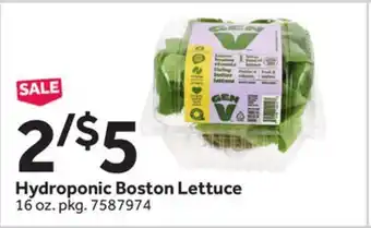 Stop&Shop Hydroponic Boston Lettuce offer