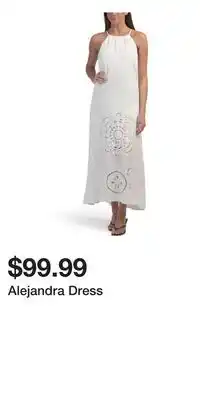 TJ Maxx Alejandra Dress offer
