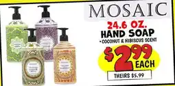 Ollie's MOSAIC 24.6 OZ. HAND SOAP offer