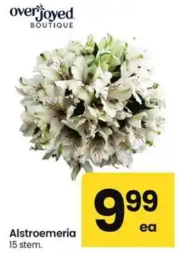 Albertsons Alstroemeria offer