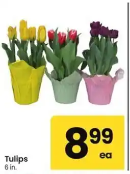 Albertsons Tulips offer