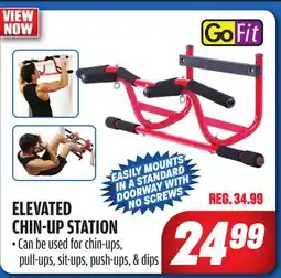 Big 5 GoFit Elevated Chin-Up Station offer