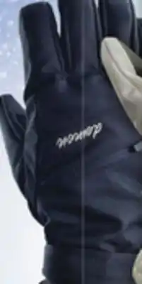 Big 5 Demon Women's Impact Gloves with E-Touch offer