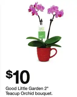 Target Good Little Garden 2 Teacup Orchid bouquet offer