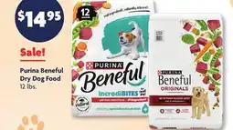 Family Dollar Purina Beneful Dry Dog Food offer