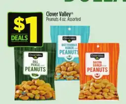 Dollar General Clover Valley Peanuts offer