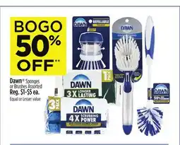 Dollar General Dawn Sponges or Brushes offer