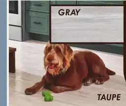 Menards Clean Protect Aurora Stone offer