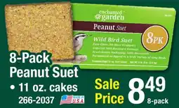 Menards 8-Pack Peanut Suet offer