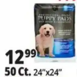 Ocean State Job Lot Professional grade puppy pads offer