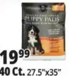 Ocean State Job Lot Puppy pads professional grade offer