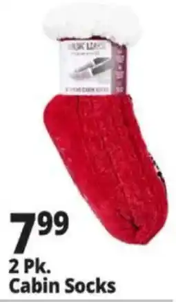 Ocean State Job Lot Cabin Socks offer