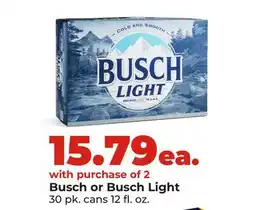 Hy-Vee Busch or Busch Light offer