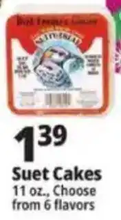 Suet Cakes
