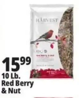 Ocean State Job Lot Red Berry & Nut offer