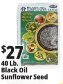 Ocean State Job Lot Black Oil Sunflower Seed offer
