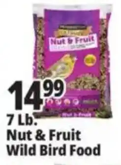 Ocean State Job Lot Nut & Fruit Wild Bird Food offer