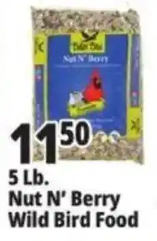 Ocean State Job Lot Nut N' Berry Wild Bird Food offer