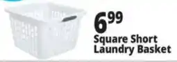 Ocean State Job Lot Square Short Laundry Basket offer