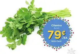 Ralphs Cilantro offer