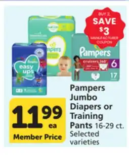 Pavilions Pampers Jumbo Diapers or Training Pants offer
