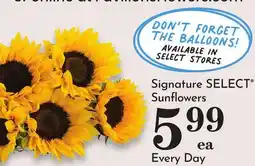 Pavilions Signature SELECT Sunflowers offer